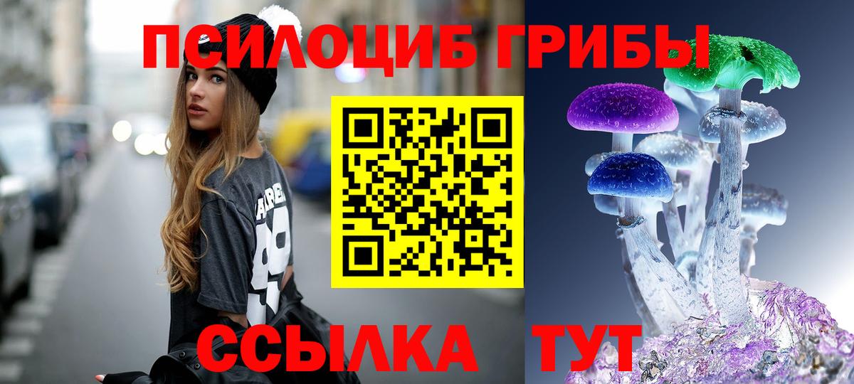 Рубцовск  Псилоцибиновые грибы мицелий  Вход с VPN 
